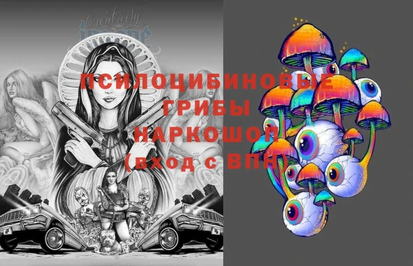 гидропоника Алзамай