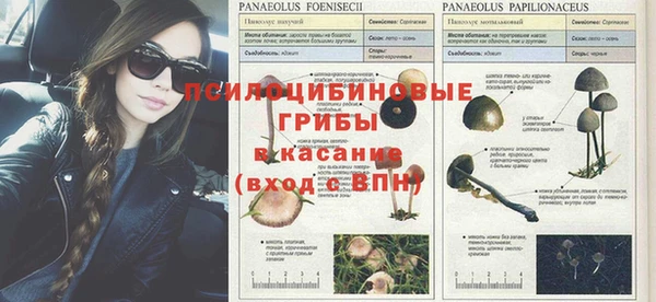 гидропоника Алзамай