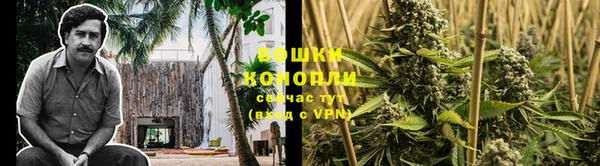 дурь Алексеевка