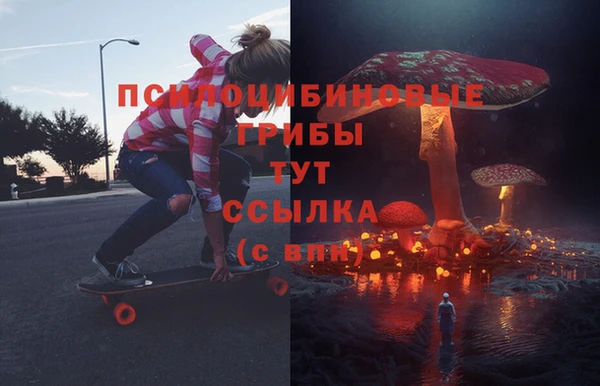 гидропоника Алзамай