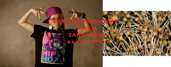 дурь Алексеевка