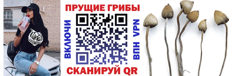 Псилоцибиновые грибы мицелий  Купить закладки  Великие Луки 
